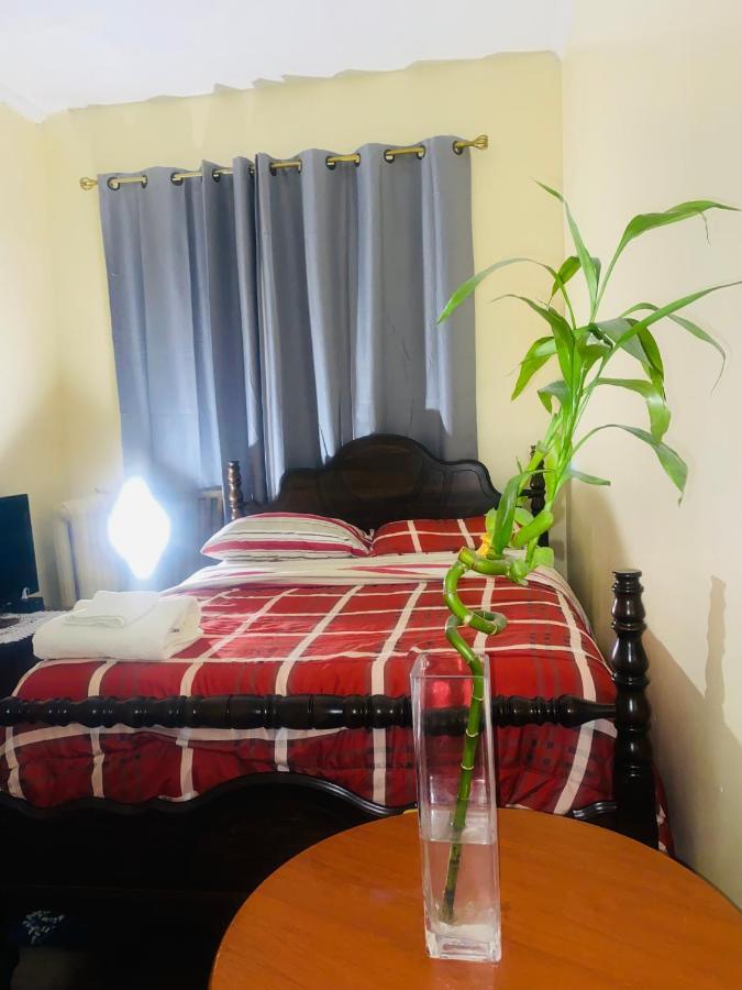 ניו יורק Cozy Comfort In Brooklyn מראה חיצוני תמונה
